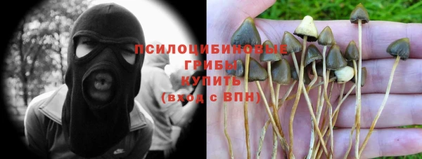 первитин Богородицк