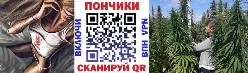 закладки  Певек  Марихуана семена 